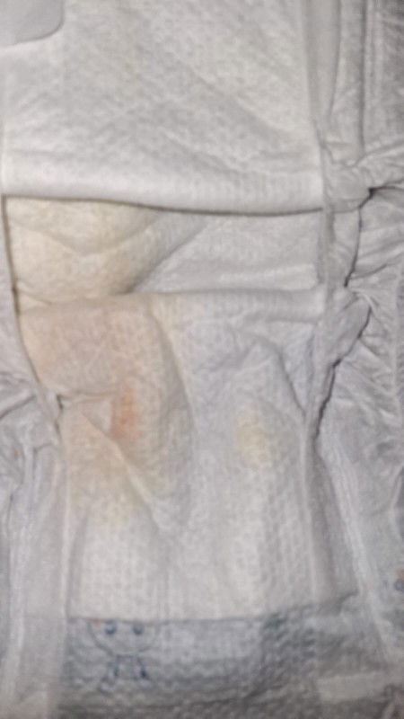 Pipis dipempers berwrna kemerahan