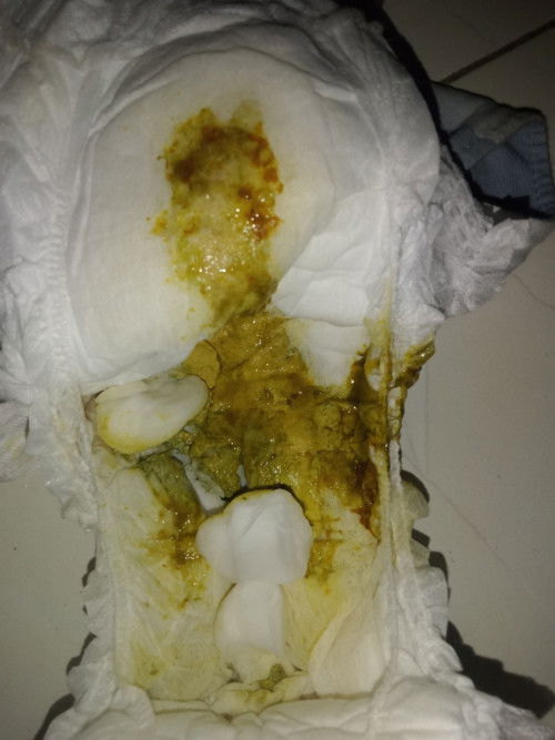 Pup diare warna coklat seperti darah mens