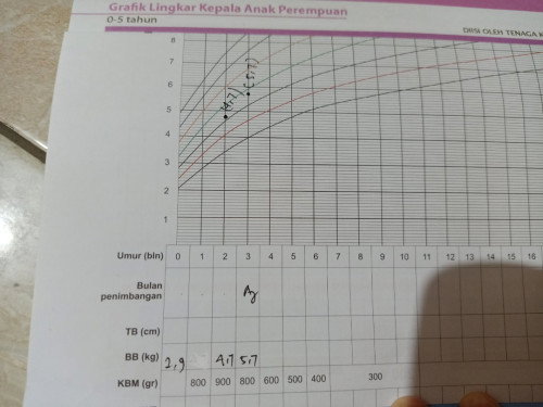 Pengisian buku KMS di posyandu