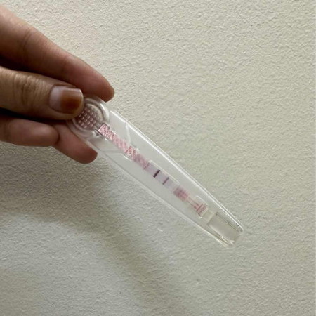 Pregnant atau tidak