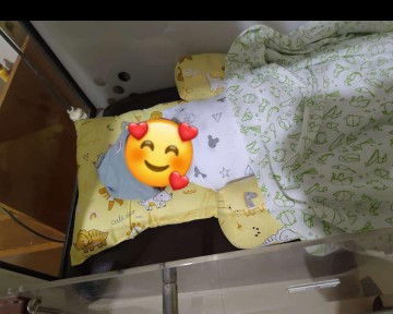 HPL 15 September 2024