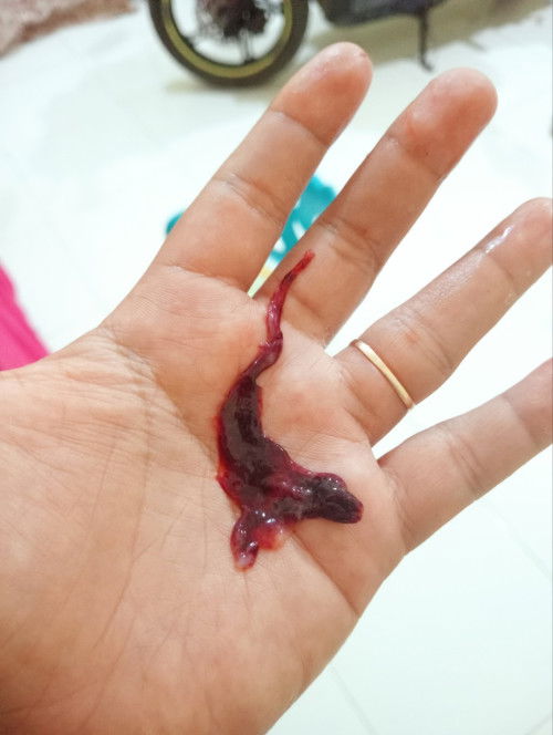 Tespek ngeprank atau gimna ya?