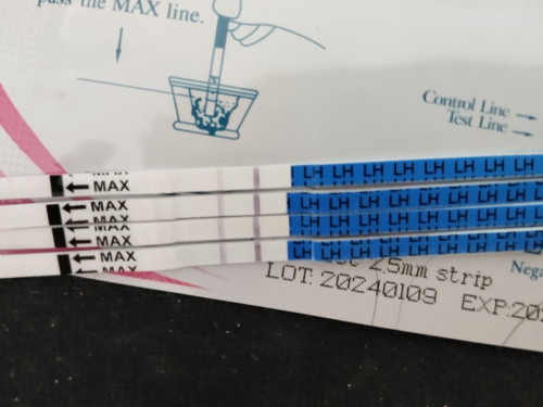 Opk negatif sbb dh nk period