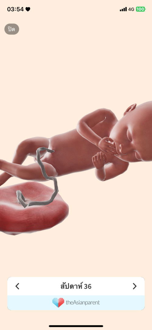 แม่ๆๆมาดูให้ให้หน่อยค่ะหนุได้ผู้หญิงหรือผู้ชายค่ะ