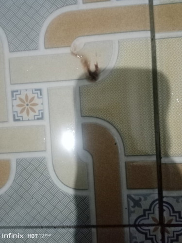 Bun mau tanya td saya BAK kluar lendir brwarna kecoklatan tapi blum mules apa itu pertanda mau lahir
