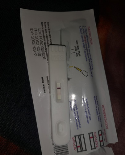 Pregnancy Test