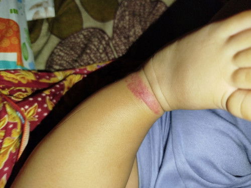 Bayi 6 bulan baru mulai mpasi