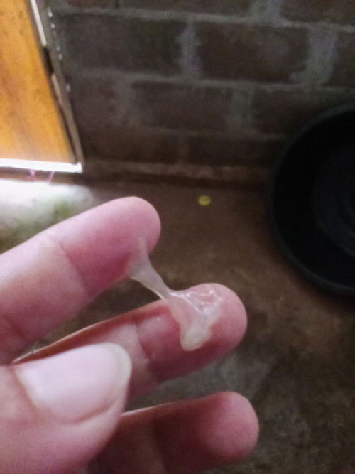 เตรียมไปโรงพยาบาลได้หรือยัง?