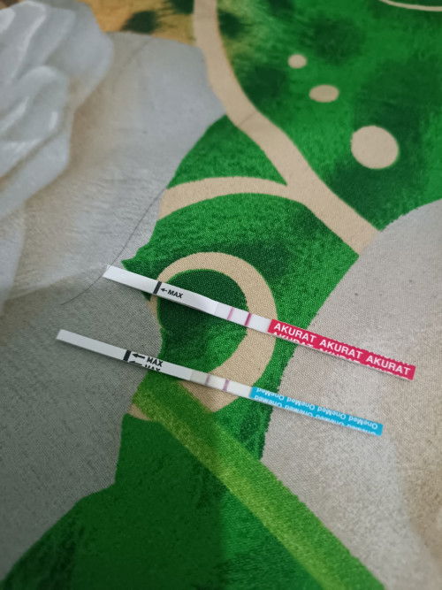 Hari pertama haid 18agustus-23agustus apakah ini positif