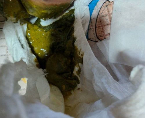 Pup bayi berwarna hijau