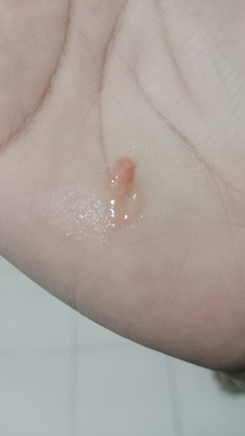 39 minggu