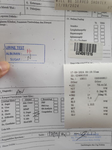 Results H dalam urine test