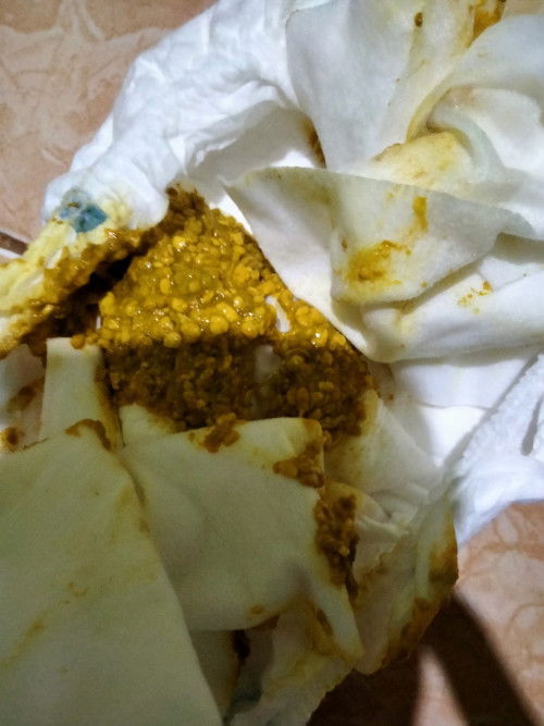 Maaf jorok izin tanya Bun ini bab bayi 1 bulan normal ga ya