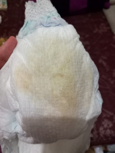 Bayi 6 hulan