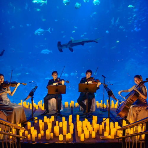 Crocs Exclusive Deal