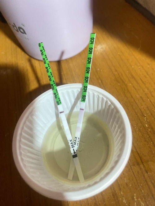 ตั้งครรถ์ ท้อง คุณแม่