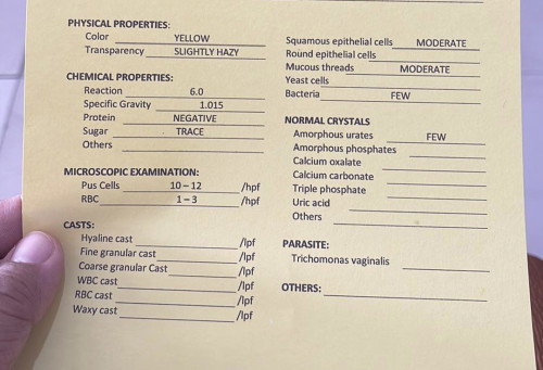 Urinalysis