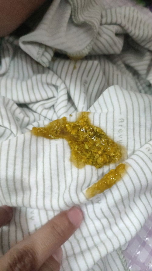 Pup bayi pada usia 1.5 bulan