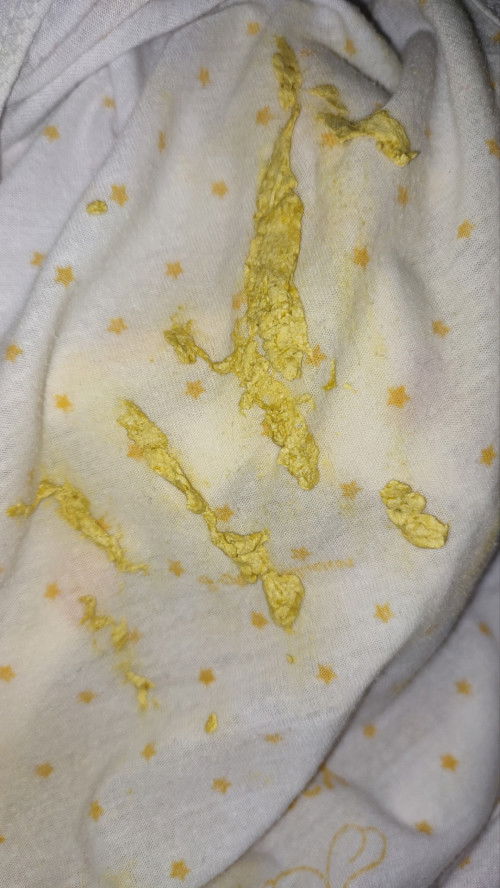 Pup bayi 1.5bulan maaf sedikit jorok