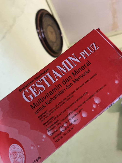 suplemen hamil