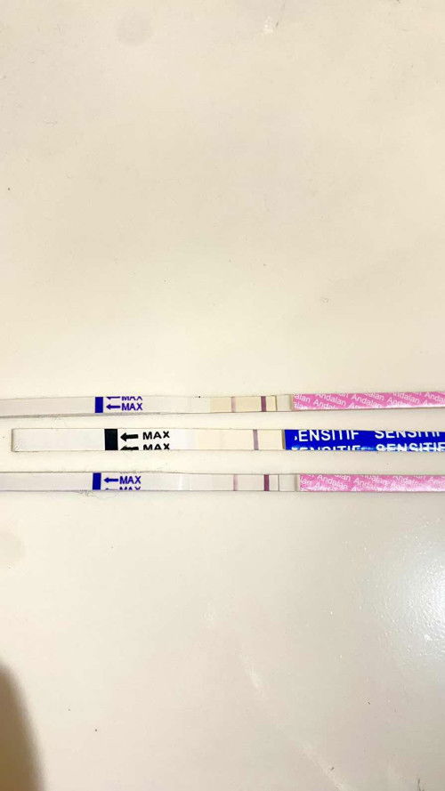 Sudah positif hamil atau tidak?