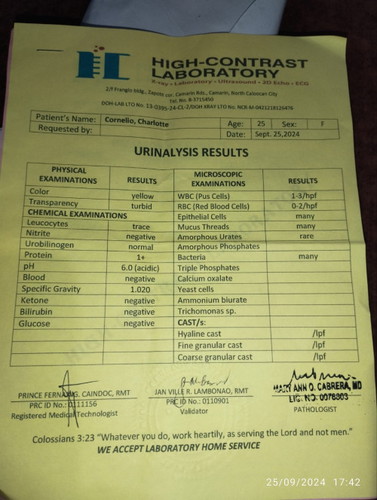 Urine Result