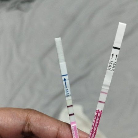 Hpht 28 Agustus 2024