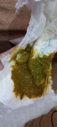 Pop warna hijau