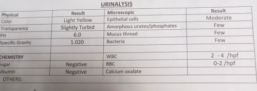 May UTI po ba 14 weeks pregnant