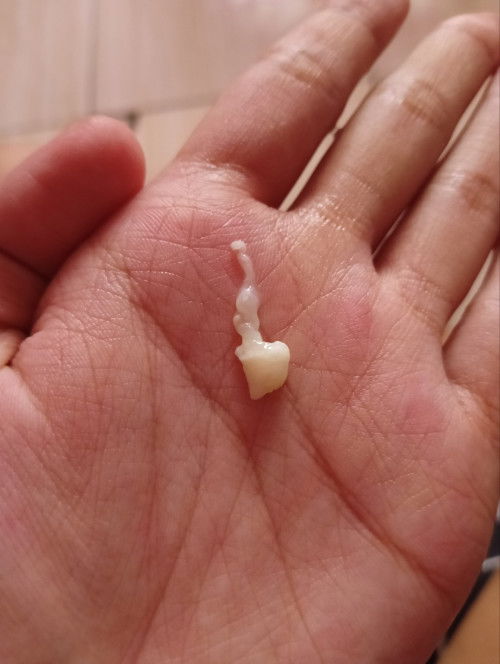 28 weeks — first time mom