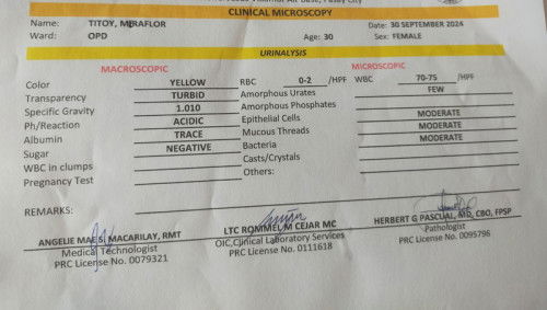 Hi po! ano po bang normal range for RBC & WBC/HPF?
Ayan po kasi lumabas na result sa urine ko.
