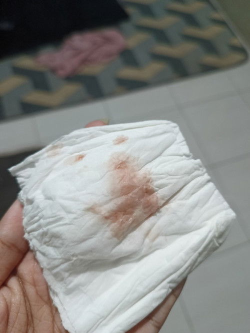 SHERING DONG BUNDA YANG BERHASIL MELEWATI FLEK DI MASA KEHAMILAN TRIMESTER PERTAMA