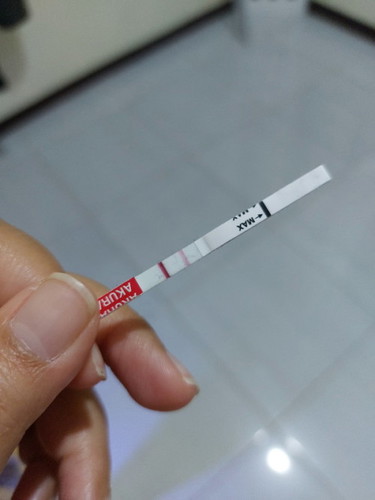 Apakah benar hamil?