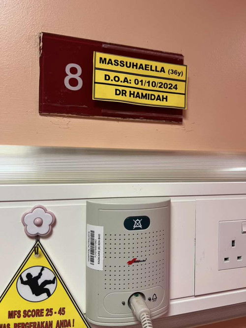 DOA: 1.10.2024
EDD: 2.10.2024