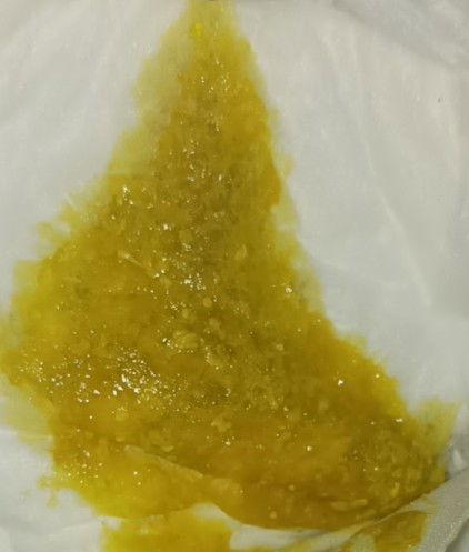 Pup baby usia 3 bulan 25 hari