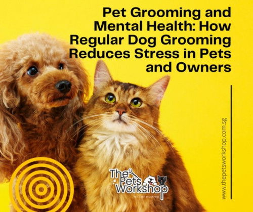 Grooming For Dogs: A Key Factor in Reducing Stress for Furry Friends — The Pets Workshop