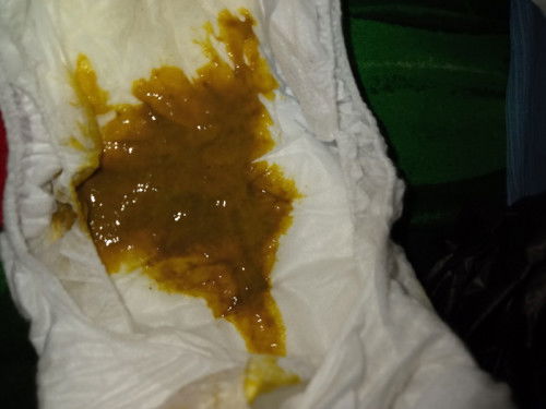 Pup bayi usia 3 bulan