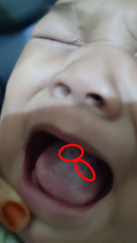 Dedenya ada yg pernah nglamin?