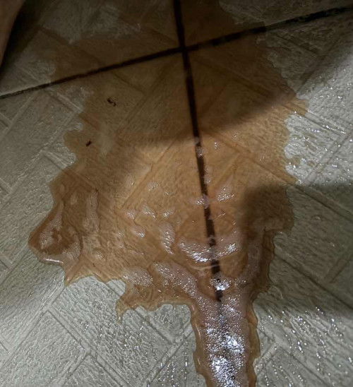 Kencing warna merah muda