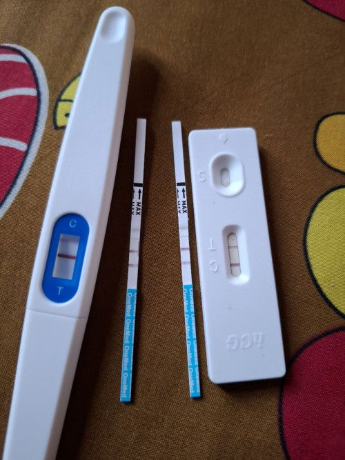 HPHT 3 September 2024