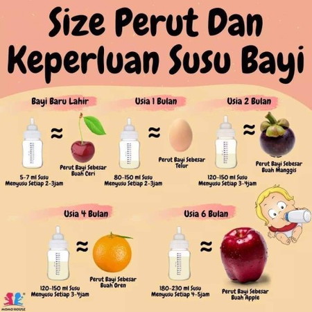 Saiz Perut & Keperluan Susu Bayi