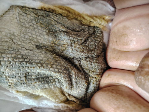 Najis baby normal ke tak