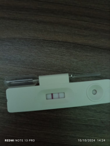 Pregnancy Test