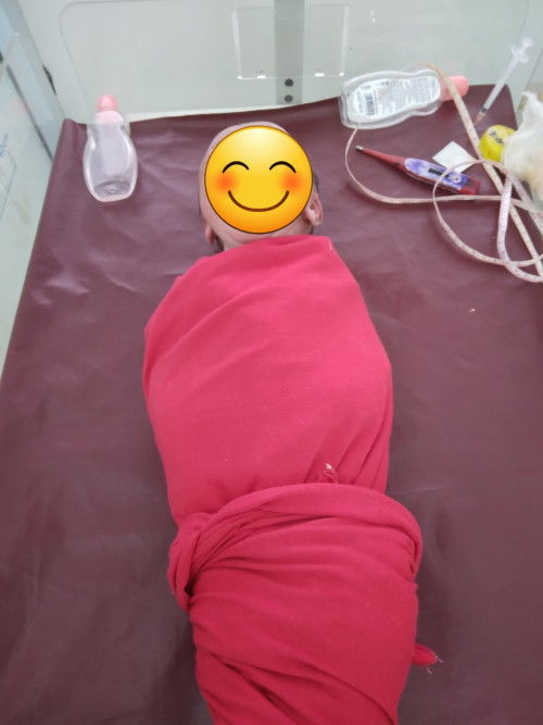 HPL 24 OKT LAHIR 13 OKT