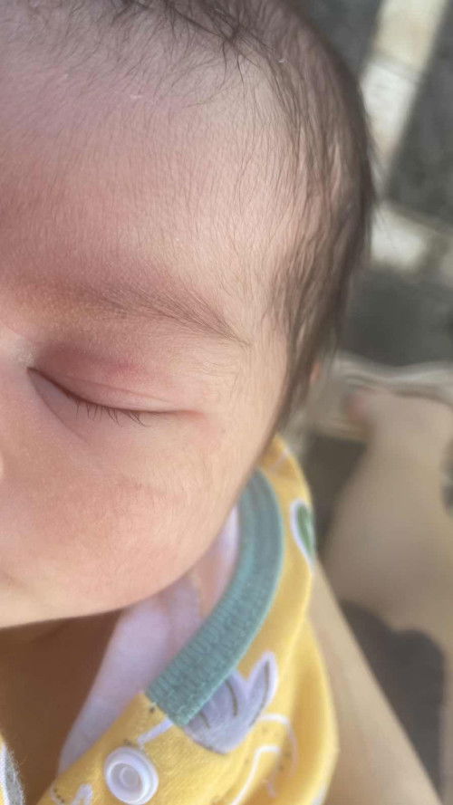 HPL 24 Oktober, launching 9 Oktober kemarin 🫶🏻