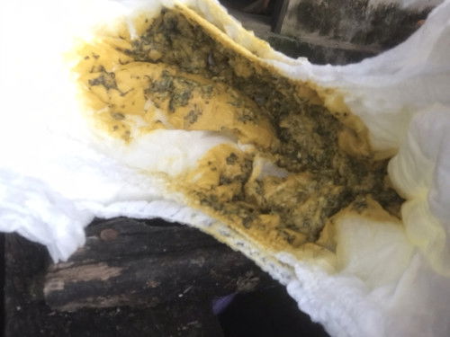 สอบถามแม่ๆหน่อยค่ะลูกอึแบบนี้ปกติไหม