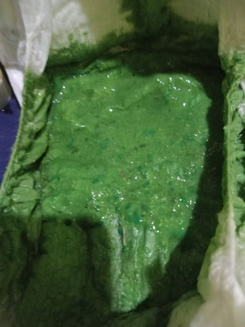 Green poop