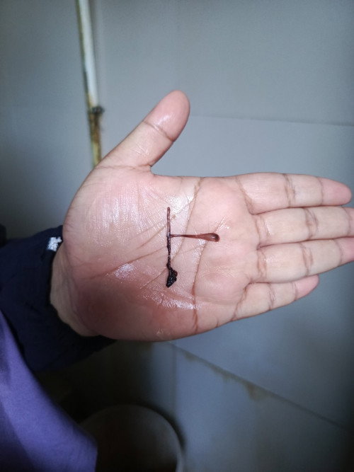 Mau tanya ini apa ya..