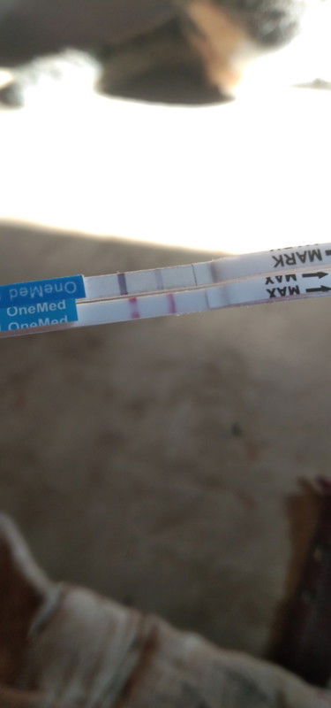 Asalamualaikum bunda²