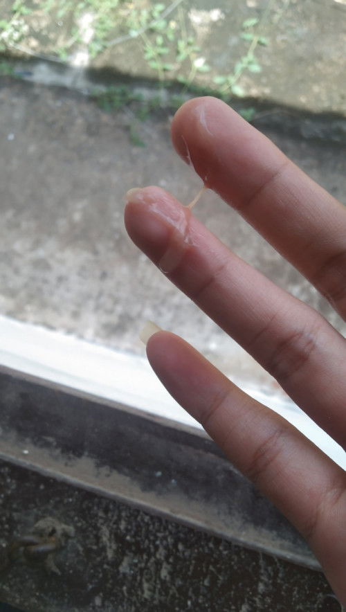 39+3วีค คือยังไงคะ